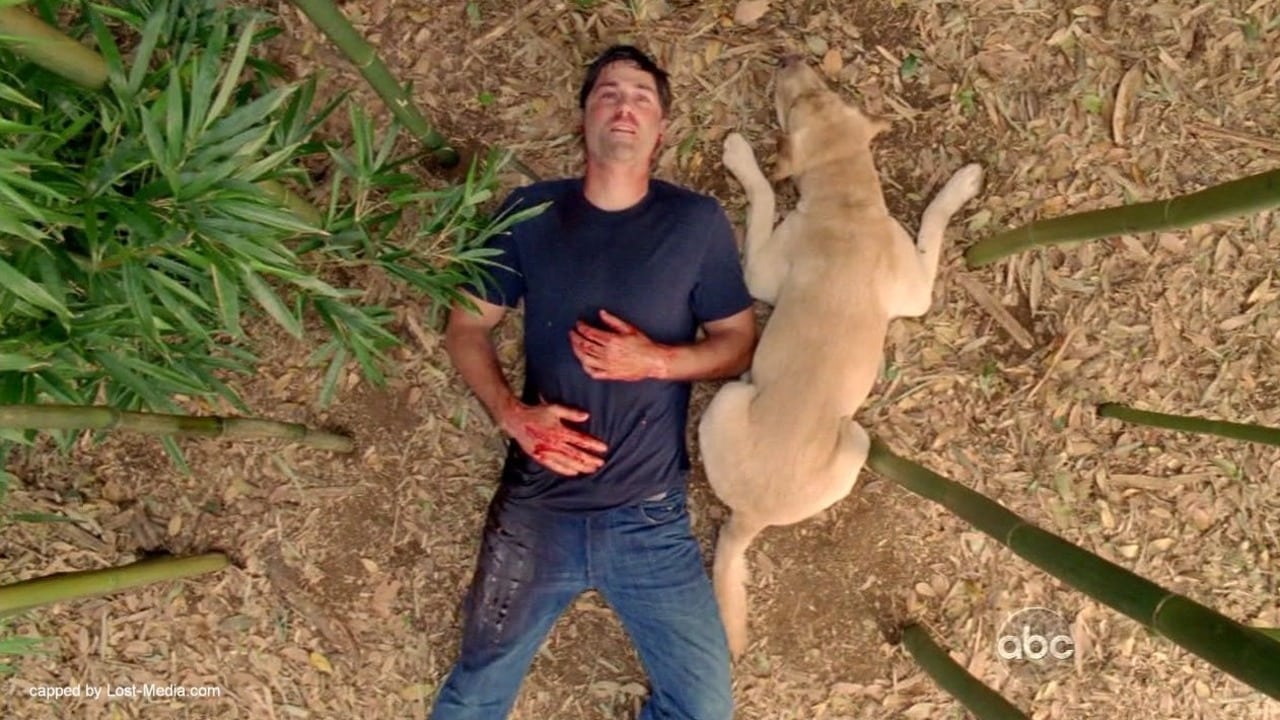 Matthew Fox in Lost (2004)