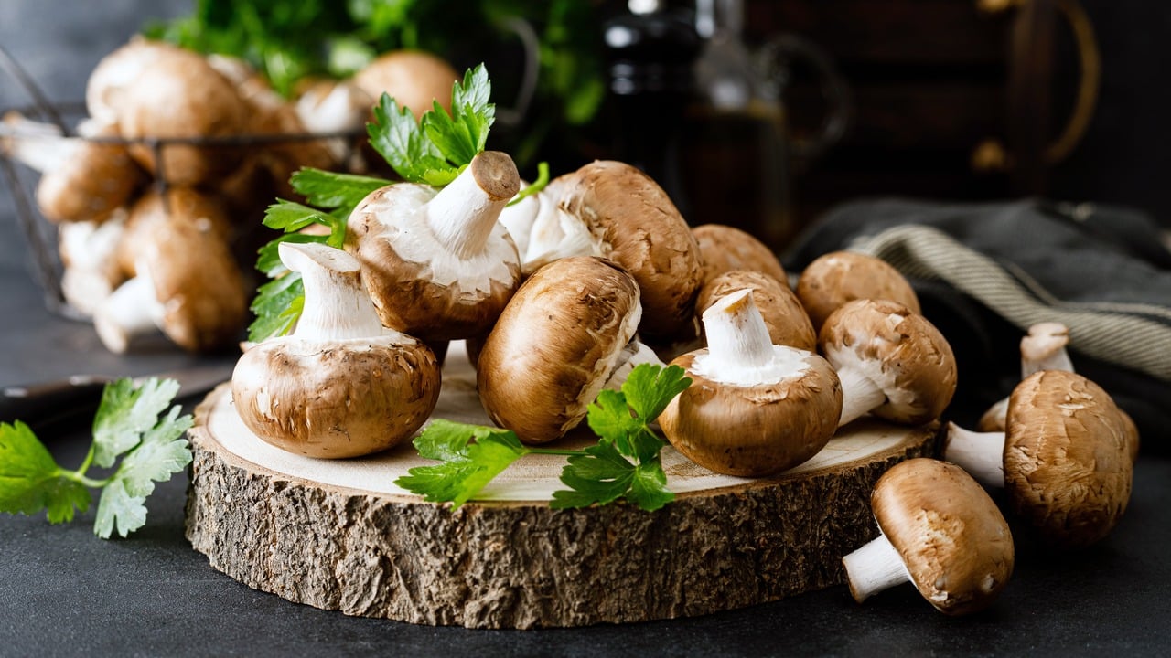 A Healthy Fungus Among US: The Surprising Health and Nutritional Benefits of Mushrooms