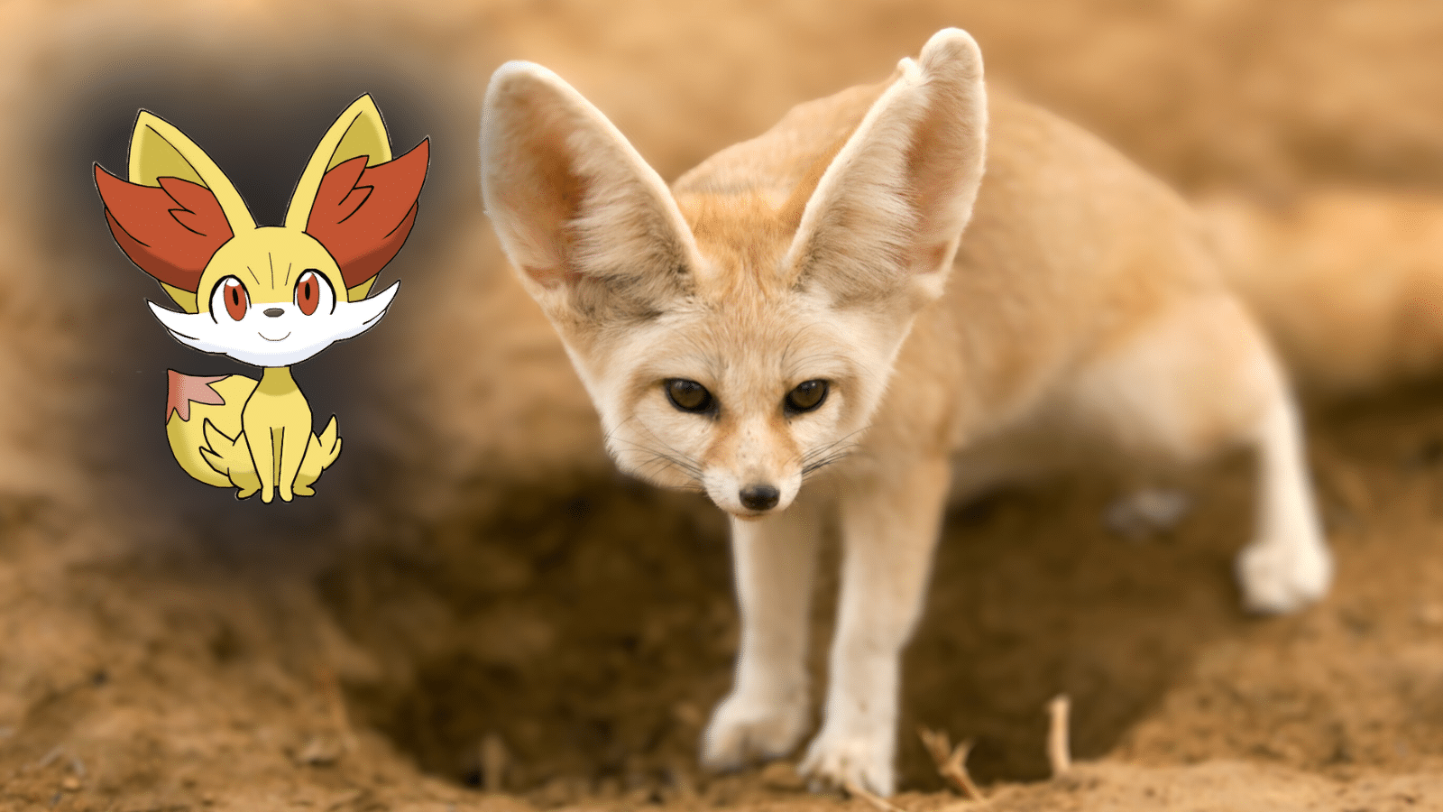 Fennekin